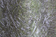 Latcham fibreglass roof work